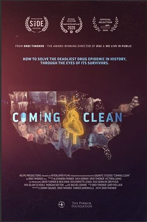 Coming Clean's poster