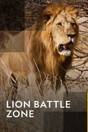 Lion Battle Zone's poster