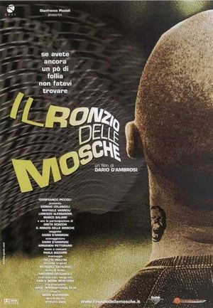 Il ronzio delle mosche's poster