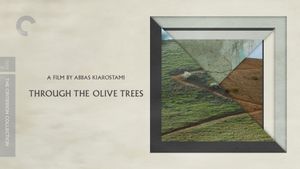 Through the Olive Trees's poster