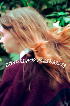 Dos Galhos Prateados's poster