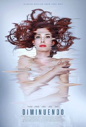 Diminuendo's poster