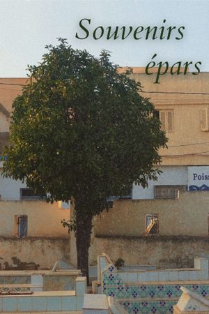 Souvenirs épars's poster