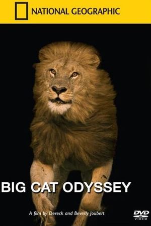 Big Cat Odyssey's poster