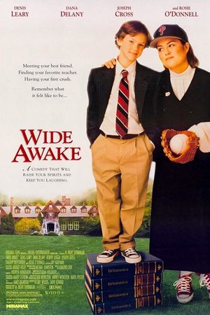 Wide Awake's poster