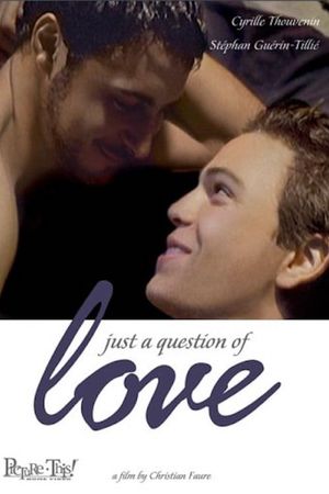 Just a Question of Love's poster