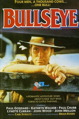 Bullseye's poster
