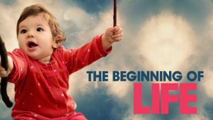The Beginning of Life's poster