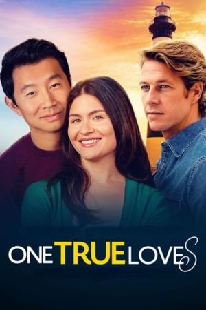 One True Loves's poster