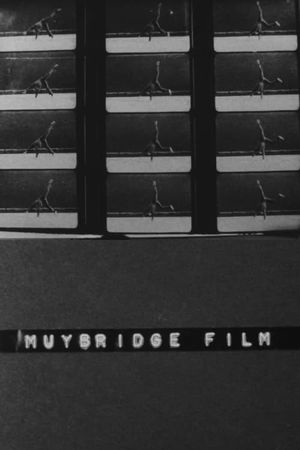 Muybridge Film's poster