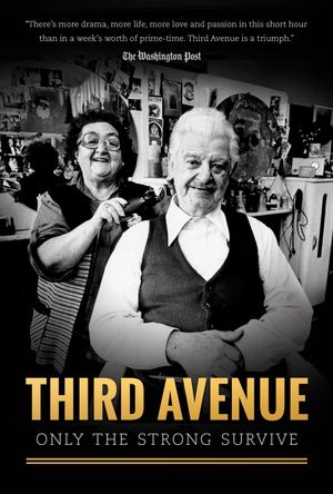 Third Avenue: Only the Strong Survive's poster