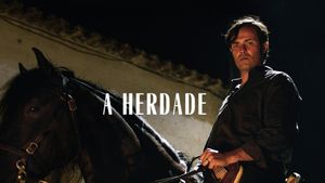 The Domain's poster