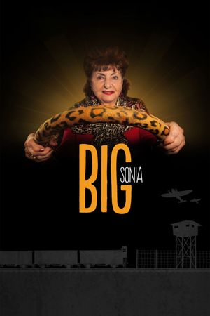 Big Sonia's poster