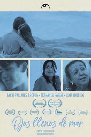 Beautiful Eyes's poster