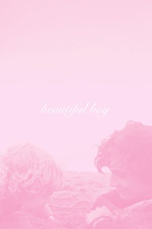 Beautiful Boy's poster
