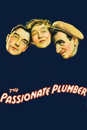 The Passionate Plumber's poster