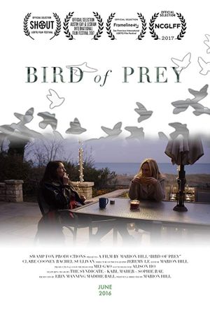 Bird of Prey's poster