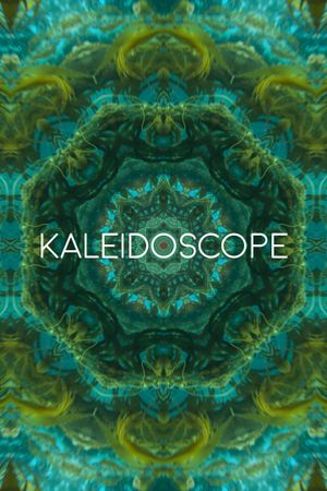Kaleidoscope's poster