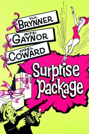 Surprise Package's poster