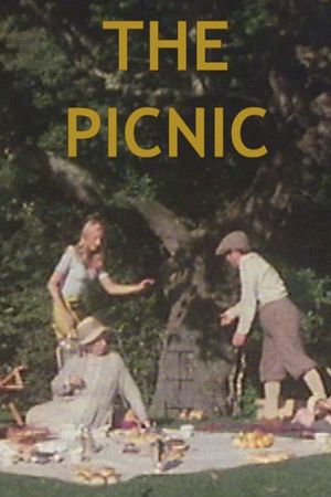 The Picnic's poster