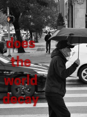 does the world decay's poster