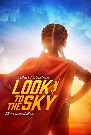 Look to the Sky's poster