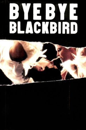 Bye Bye Blackbird's poster