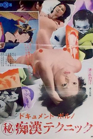 Document porno: Maruhi chikan technique's poster