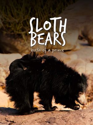 Sloth Bears: Birth of a Prince's poster image