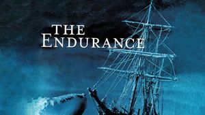 The Endurance's poster