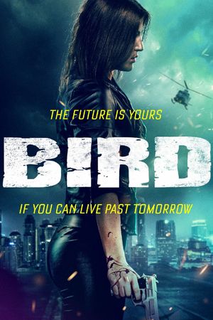 Bird's poster