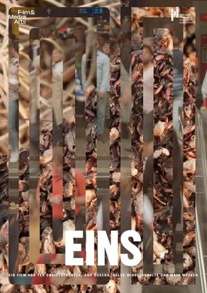 EINS's poster image