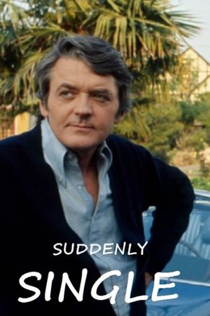 Suddenly Single's poster