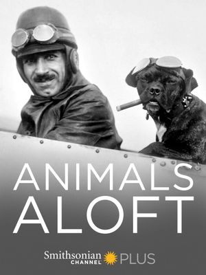 Animals Aloft's poster