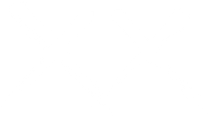 XX's poster