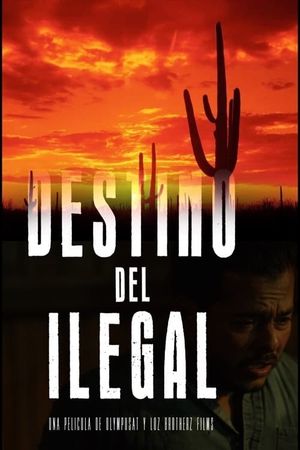 El Destino del Ilegal's poster