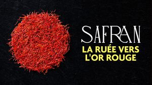 Safran, la ruée vers l'or rouge's poster