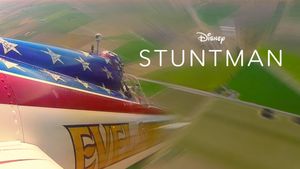 Stuntman's poster