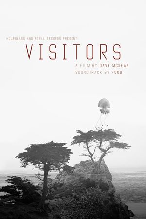 Visitors's poster