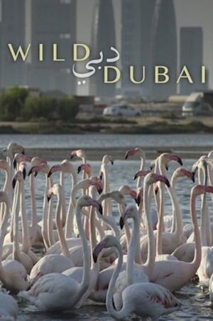 Wild Dubai's poster image