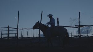 The Rider's poster