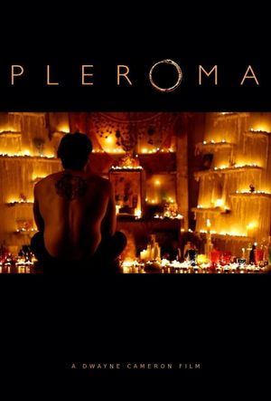 Pleroma's poster