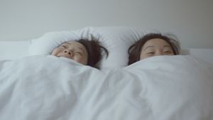 Twinsters's poster
