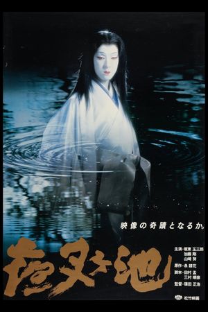 Demon Pond's poster