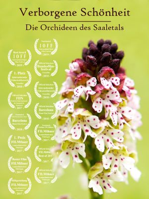 Hidden Beauty - The Orchids of the Saale Valley's poster