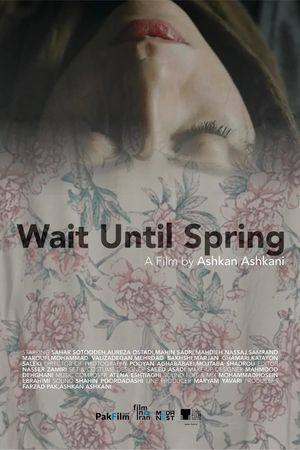 Wait Until Spring's poster
