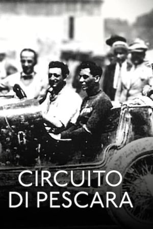 Circuito di Pescara - The Acerbo Cup's poster