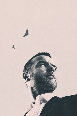 Ray Donovan: The Movie's poster