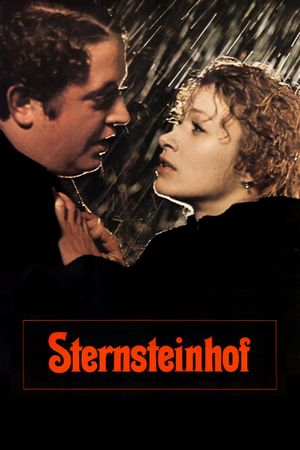 The Sternstein Manor's poster