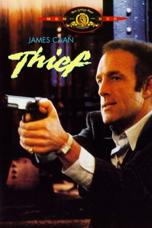 Thief's poster